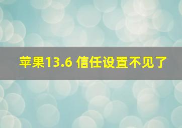 苹果13.6 信任设置不见了